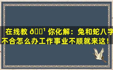 在线教 🌹 你化解：兔和蛇八字不合怎么办工作事业不顺就来这！